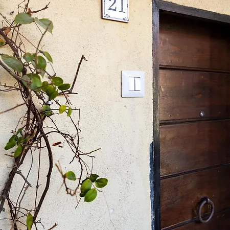Views Of The Coliseum Apartment *