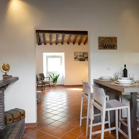 Views Of The Coliseum * ローマ