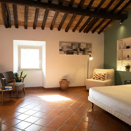 Views Of The Coliseum